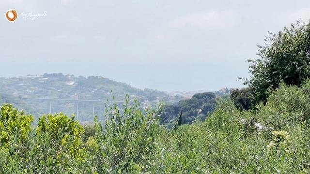 ?Купить виллы в Бордигера с видом на море | For Sale Two Villas In Bordighera With Sea Views