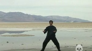 QIGONG THAT WORKS:  Flying Phoenix Heavenly Healing Qigong [CKFH DVD Vol. 3] with Sifu Terence Dunn