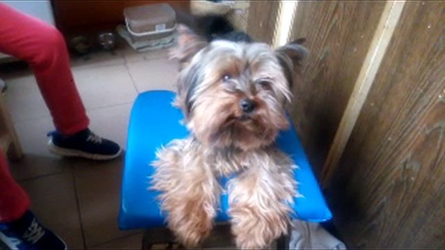 Беня 26.03.2023 смотреть онлайн