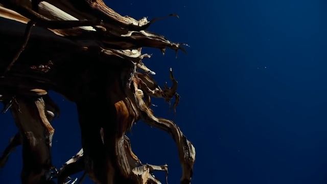 "Хаджи" Габдулла Тукай смотреть онлайн