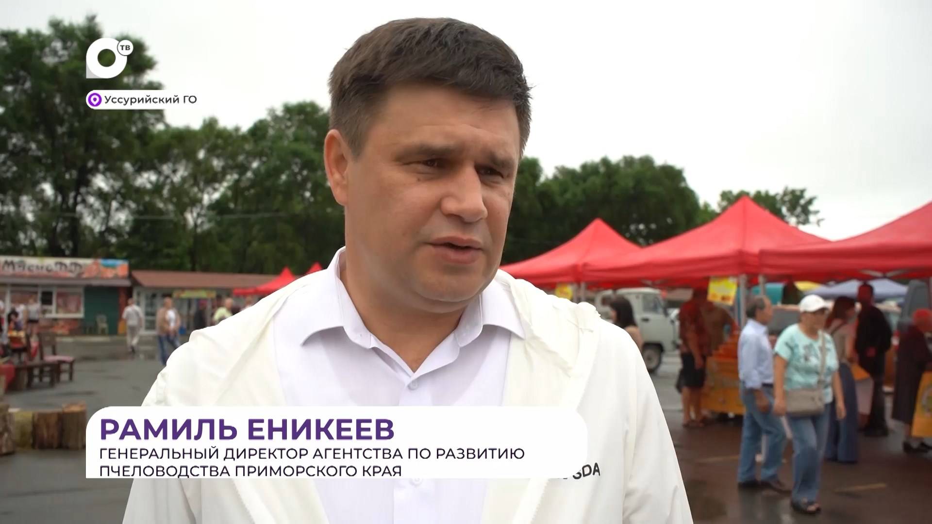 Прямая речь / О пчеловодстве / 07.08.24