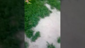 Бабка орет на подростков