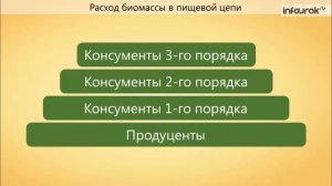 Цепи питания Поток энергии | Биология 7 класс #65 | Инфоурок