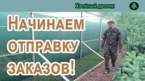 Отправка оплаченных заказов с 27 03 2023 г питомник Хвойный дворик