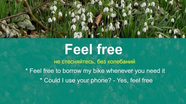 FEEL FREE - учим полезные фразы на английском, изучение английского онлайн каждый день смотреть онлайн