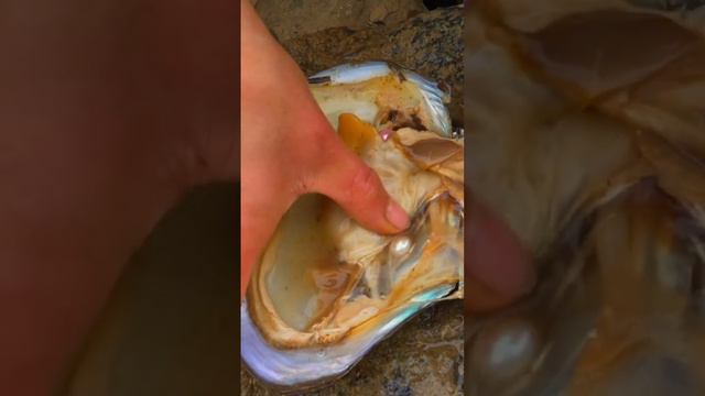 😍😍 Full video pearl Collection #geme #agate#erystal#gold#gems#diamonds#g #hamas #viral смотреть онлайн