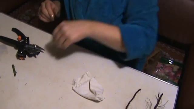 Зимняя прививка роз ч.1 смотреть онлайн