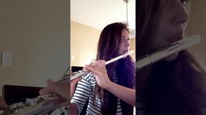 Wrecking Ball -- flute cover