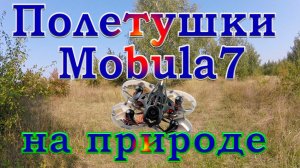 Просто полетушки Mobula7