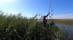 Вот это КАРАСЬ!!! Рыбалка на новом озере в Костанае.