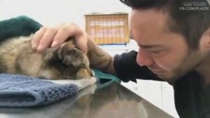 Мужчина прощается с кошкой с которой прожил 13 лет?