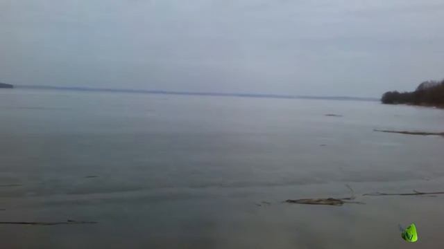 Санатории Беларуси Приморский. Отдых.