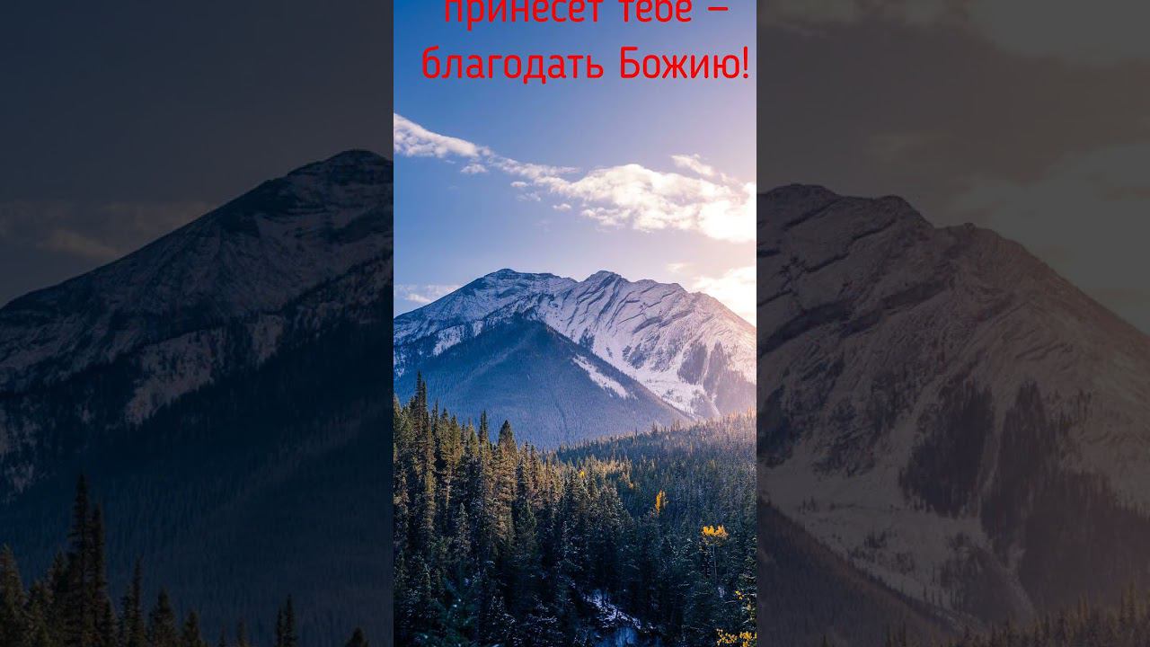 Изречения Паисия Святогорца #молитва #бог #пресвятаябогородица #ПаисийСвятогорец #афон