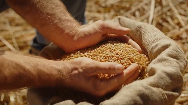 Макароны MAKFA мой твердый выбор смотреть онлайн