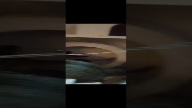 Типа бЭлка.mp4