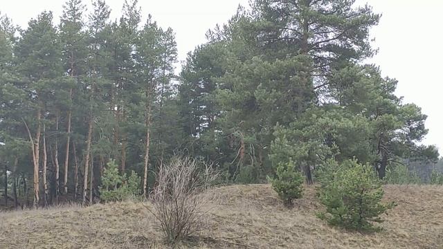 Кому нельзя носить золотые украшения. Опасное золото...