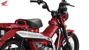 All New Honda CT125 ABS 2020 | Trail Cub Hunter