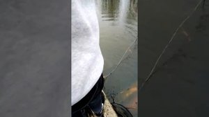 рыбалка сетями