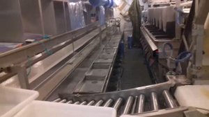 Как делают рыбное филе