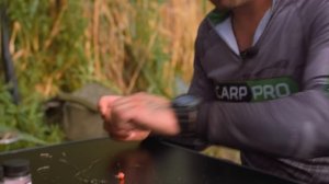 Ловля КАРПА и БЕЛОГО АМУРА на ДИКАРЕ! КАРПФИШИНГ на диком водоеме или РЫБАЛКА в завоз...
