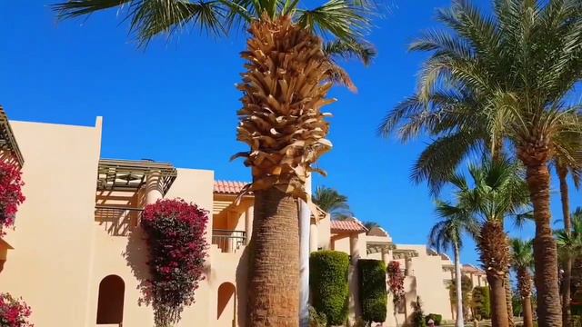 Обзор Хорошего Отеля Ali Baba Palace 4 * . Хургада.Египет.2022! смотреть онлайн