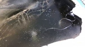 ПРУД ЗИМОЙ В МОРОЗ -15 / АЭРАТОР AQUANOVA / АТМОСФЕРА ТИШИНЫ