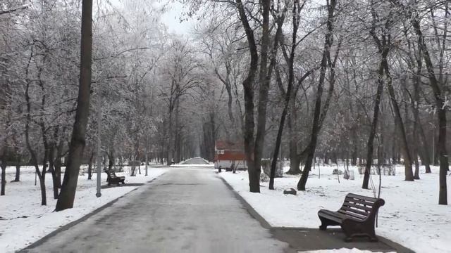 Каток в Парке г Нальчика КБР 04 01 2021