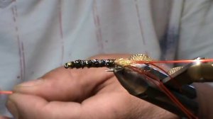 креветка на щуку