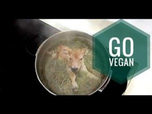 Я Vegan - Я Больше Не Ем Животных