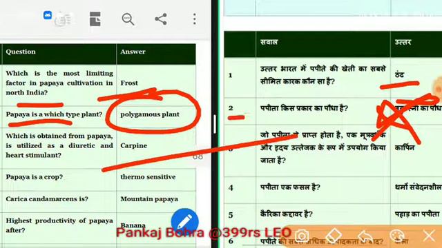 Papaya - | LEO /Pashudhan prashar adhikar study material | LEO previous year papers смотреть онлайн