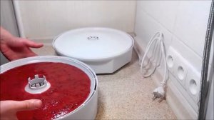 Пастила из ягод в сушилке Ezidri Snackmaker FD500