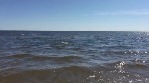 Пляж Каукси на Чудском озере