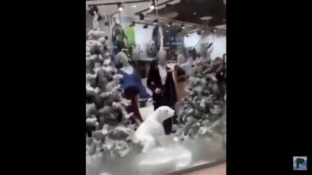 Тамаев - Марвин . Яркие моменты смотреть онлайн