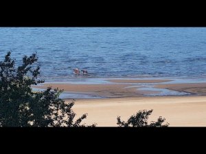 мотопрохват в санаторий