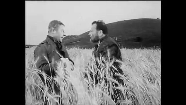 Der brave Soldat Schwejk - RÜHMANN HEINZ  BERGER SENTA 2011