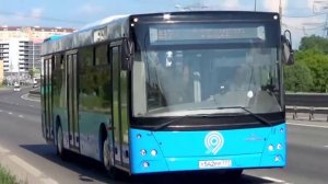 (Новинка) Автобус МАЗ-203 "Московский Транспорт"