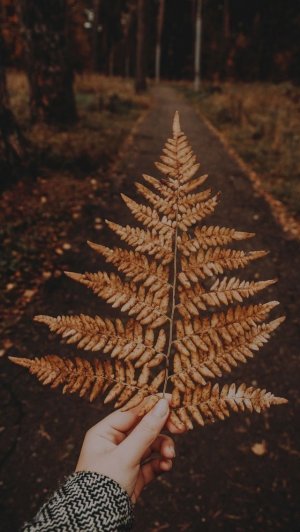 Добрый День! Отличного Вам Настроения на Весь День!