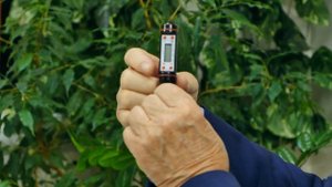 ШИШКА КЕДРОВАЯ | ДАЛЬНЕВОСТОЧНАЯ | Очищенная от смолы. Природная сила для полноценной жизни человек