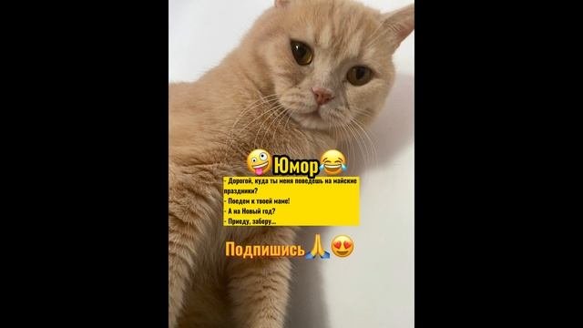 Куда поехать на майские