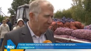 Фестиваль картошки в Дмитриевке — самом картофельном уголке Старооскольског округа