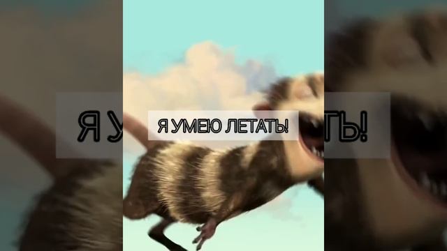 Ледниковый период.Приколы. Опоссумы.