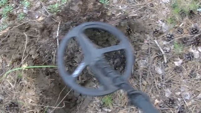 Копала и обнаружила это в лесу... Нашла значит моё