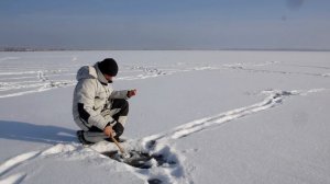 Эффективность прикормки на ротана: проверил на практике по первому льду