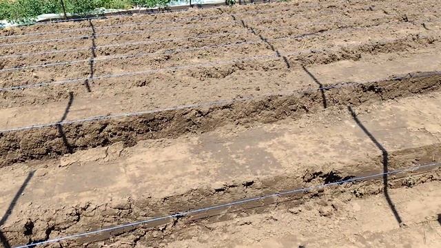 Бугры для клубники своими руками смотреть онлайн