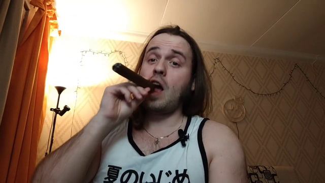 Мюнхенское предательство. Что это и при чем тут Риббентроп? Диванная история