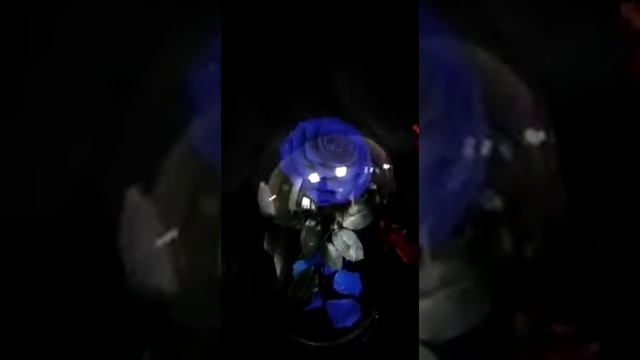 Модели, которые можно выбрать под заказ. Разные цвета и размеры. Мини, Премиум, Кинг, Вип, Трио