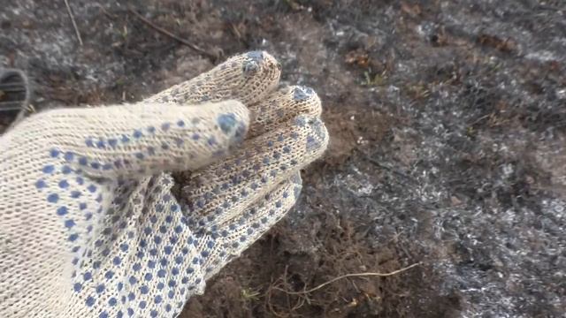 По выжженной траве за золотом! 3.10 смотреть онлайн