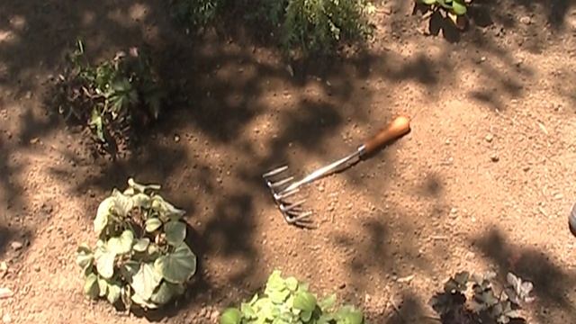 5-Tine Hand Garden Rake by Sneeboer смотреть онлайн