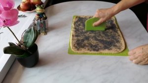 Маковая плетёнка. Булочки с маком.