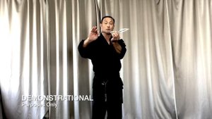 Dan Bong 2 - Hapkido Short Stick & Blade